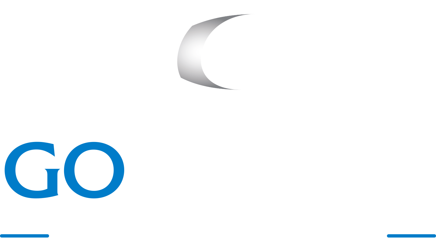 Goptimum Consulting